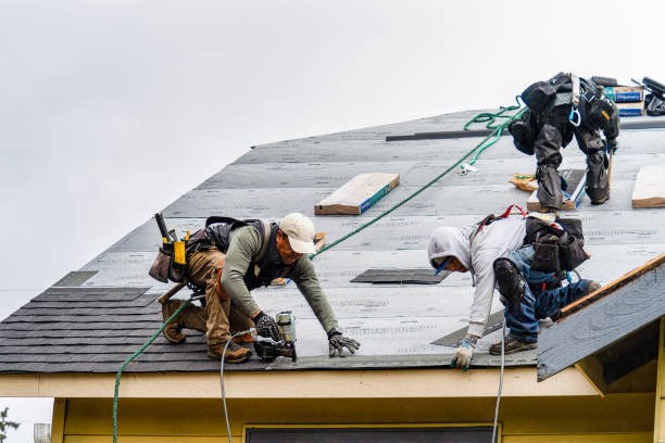 Professional Roofing technician working in Pittsford, NY